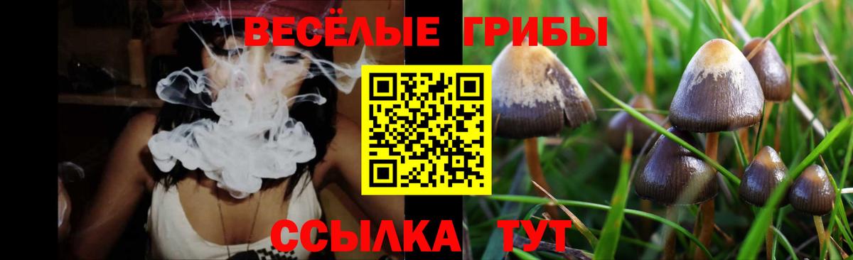 Химки  Псилоцибиновые грибы Psilocybe  Вход с VPN 